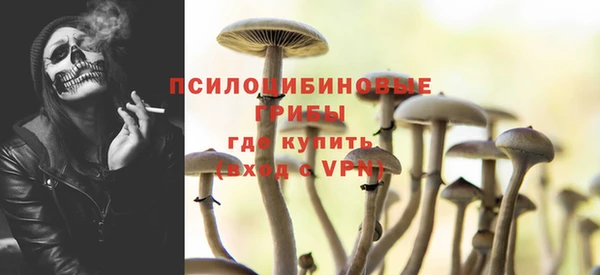МДМА Белокуриха