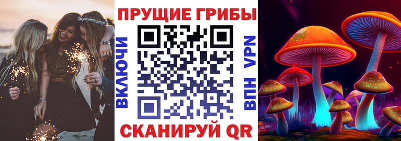 Псилоцибиновые грибы прущие грибы  это наркотические препараты  Николаевск-на-Амуре 